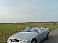 gebraucht Mercedes CLK200 