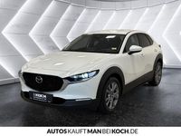 Gebraucht Mazda CX-30 140 PS (102 kW) 2025 Weiß SUV