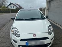 gebraucht Fiat Punto 1.4 8V Start&Stopp YOUNG YOUNG