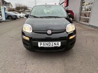 Neu Fiat Panda Icon 65 PS (47 kW) 2026 Rot Kleinwagen