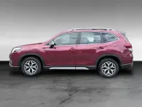 Gebraucht Subaru Forester Trend 150 PS (110 kW) 2024 Rot SUV