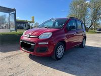 Gebraucht Fiat Panda 69 PS (50 kW) 2014 Rot Kleinwagen