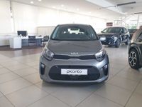 Gebraucht Kia Picanto Edition 7 84 PS (61 kW) 2024 Grau Kleinwagen