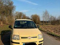 Gebraucht Fiat Panda 54 PS (39 kW) 2012 Gelb Kleinwagen