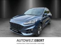 Gebraucht Ford Kuga ST-Line 224 PS (164 kW) 2021 Chromablau metallic SUV