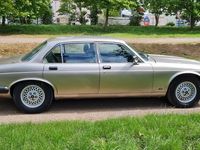 gebraucht Jaguar XJ12 