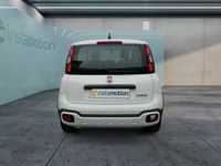 gebraucht Fiat Panda Cross CITY PLUS HYBRID 1.0 GSE TECH CARPLAY KLIMAAUTOMATIK