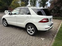 Gebraucht Mercedes ML350 258 PS (189 kW) 2012 Weiß SUV
