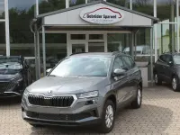 Neu Skoda Karoq Selection 150 PS (110 kW) 2026 Grau SUV