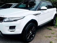 Gebraucht Land Rover Range Rover evoque SE Dynamic 150 PS (110 kW) 2015 Weiß SUV