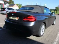 Gebraucht BMW 218 Advantage 150 PS (110 kW) 2020 Mineralgrau Cabrio