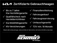 Gebraucht Kia Niro 129 PS (94 kW) 2026 Grau SUV