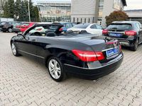 Gebraucht Mercedes 250 Avantgarde 204 PS (150 kW) 2010 Schwarz Cabrio