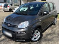 Gebraucht Fiat Panda 71 PS (52 kW) 2024 Grau Kleinwagen