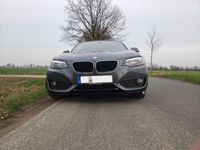 gebraucht BMW 220 i Cabrio Advantage Leder Sitzhzg Klima Navi