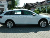 Gebraucht Skoda Octavia Scout 4x4 150 PS (110 kW) 2021 Weiß Kombi