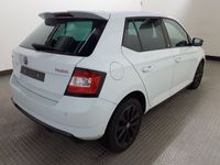 gebraucht Skoda Fabia 1.4 TDI Monte Carlo*ACC*PANO*PDC*GRA