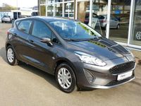 Gebraucht Ford Fiesta Trend 71 PS (52 kW) 2019 Grau Kleinwagen