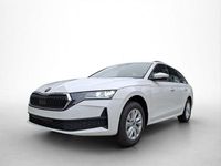 Neu Skoda Octavia Essence 116 PS (85 kW) 2025 Weiß Kombi