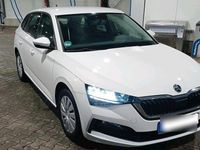 Gebraucht Skoda Scala Cool Plus 95 PS (69 kW) 2021 Weiß Kleinwagen