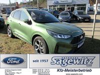 Gebraucht Ford Kuga ST-Line 186 PS (136 kW) 2025 Grün SUV