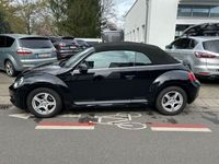 gebraucht VW Beetle Cabriolet - 8 Reifen