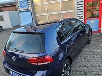 Gebraucht VW Golf VIII IQ Drive 116 PS (85 kW) 2020 Blau Limousine
