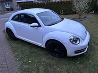 Gebraucht VW Beetle 105 PS (77 kW) 2014 Weiß Kleinwagen