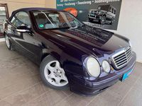 Gebraucht Mercedes CLK230 197 PS (144 kW) 2000 Blau Cabrio