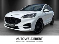 Gebraucht Ford Kuga ST-Line X 150 PS (110 kW) 2021 Weiß SUV