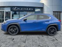 gebraucht Lexus UX 250h