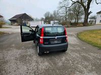 gebraucht Fiat Panda Bj 2009, TÜV Neu