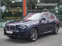 Gebraucht BMW X5 M Sport 265 PS (194 kW) 2020 Blau SUV