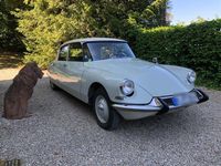 Gebraucht Citroën DS 75 PS (55 kW) 1964 Weiß Limousine