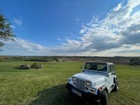 Second-hand Jeep Wrangler 122 CP (89 kW) 1990 Alb SUV