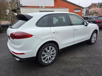 Gebraucht Porsche Cayenne Platinum Edition 262 PS (192 kW) 2016 Pure white/weiss SUV