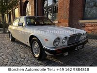 Gebraucht Jaguar XJ 295 PS (216 kW) 1985 Weiß Limousine