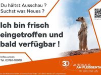 Gebraucht Skoda Kamiq 110 PS (80 kW) 2021 Silber SUV