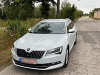 Gebraucht Skoda Superb 150 PS (110 kW) 2019 Weiß Kombi