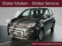 Gebraucht Fiat Panda 69 PS (50 kW) 2024 Colosseo grau Kleinwagen