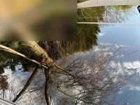 Gebraucht BMW 318 136 PS (100 kW) 2018 Kombi