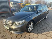 Gebraucht Mercedes E350 Avantgarde 258 PS (189 kW) 2014 Grau Kombi