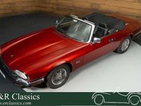 Usata Jaguar XJS 295 CV (216 kW) 1992 Rosso Cabrio