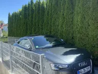 Gebraucht Audi RS5 Ambiente 450 PS (330 kW) 2015 Grau Coupé
