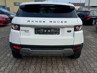 Gebraucht Land Rover Range Rover evoque Pure 150 PS (110 kW) 2013 Weiß SUV