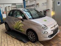 Gebraucht Fiat 500 Star 69 PS (50 kW) 2020 Powder pink/bianco stella Kleinwagen