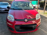 Gebraucht Fiat Panda 69 PS (50 kW) 2013 Rot Kleinwagen