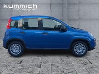 Gebraucht Fiat Panda 69 PS (50 kW) 2024 Blau Kleinwagen