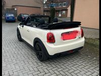 Gebraucht Mini One Cabriolet 102 PS (75 kW) 2016 Weiß Cabrio