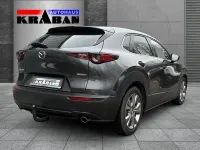 Gebraucht Mazda CX-30 Selection 150 PS (110 kW) 2020 Grau SUV